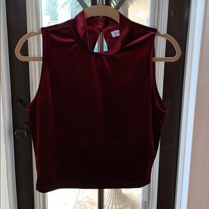 Velvet Red Crop top